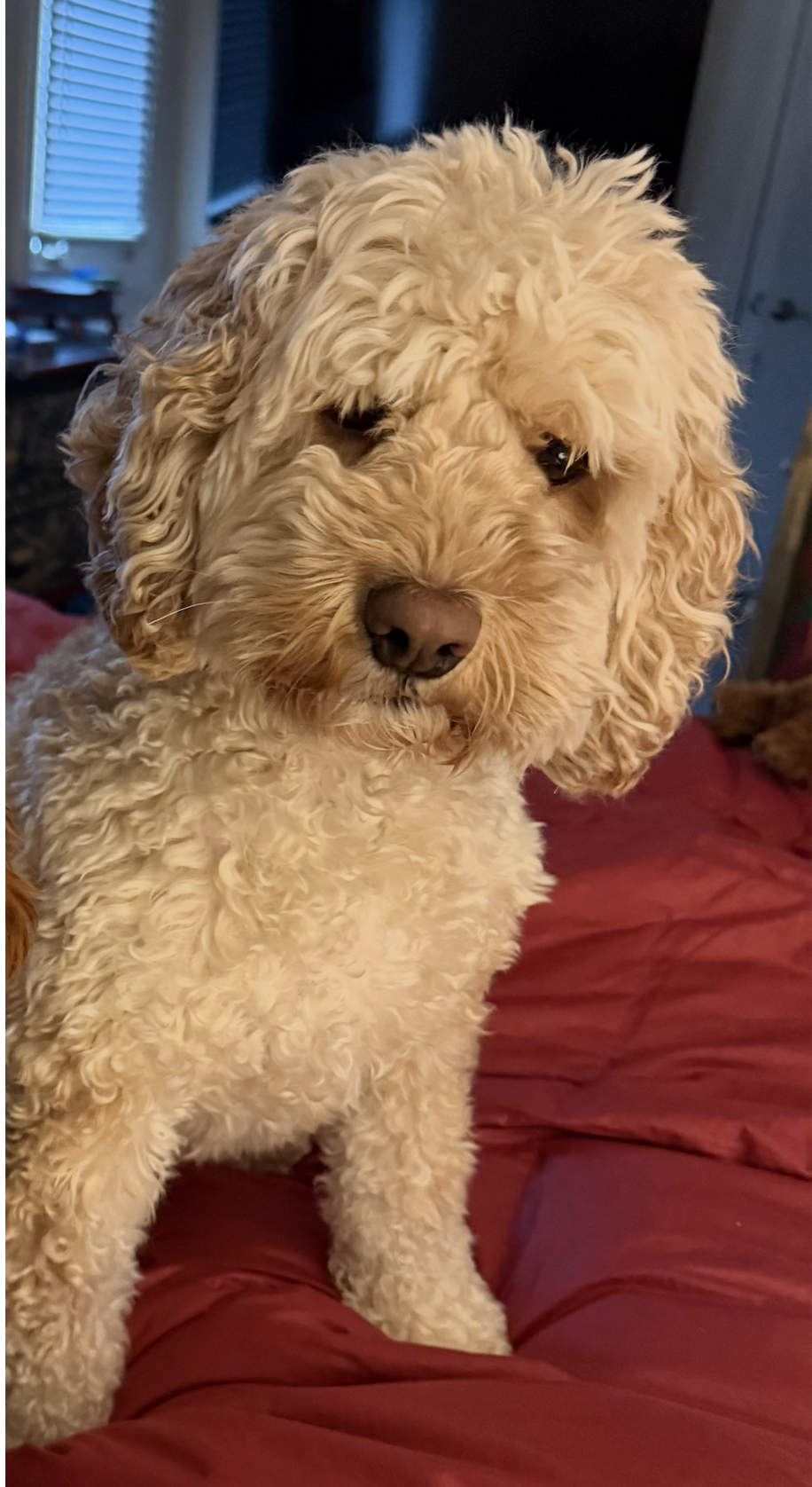 Sky, Chief Sidekick Officer at Simply AI to Z
